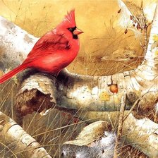 Cross stitch pattern: #416319