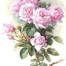 Cross stitch pattern: #416571