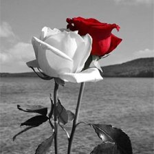 Cross stitch pattern: #417544