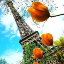 Cross stitch pattern: #417716