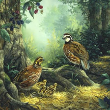 Cross stitch pattern: #419146