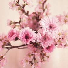 Cross stitch pattern: #419228