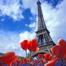 Cross stitch pattern: #419246