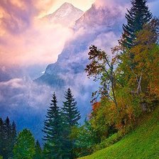 Cross stitch pattern: #419932