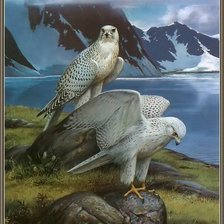 Cross stitch pattern: #420297