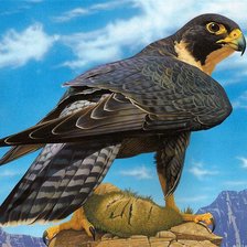 Cross stitch pattern: #420301