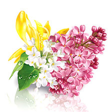 Cross stitch pattern: #420511