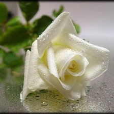 Cross stitch pattern: #420916