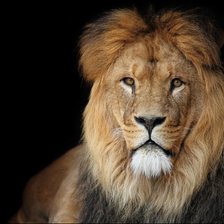 Cross stitch pattern: #421453