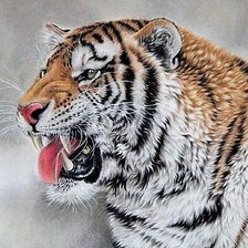Cross stitch pattern: #422562