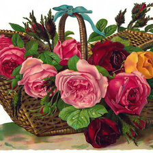 Cross stitch pattern: #422638