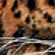 Preview of cross stitch pattern: #423477