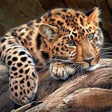 Cross stitch pattern: #423477