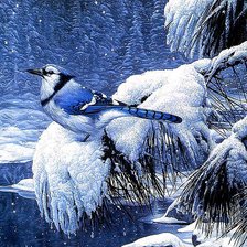 Cross stitch pattern: #423483
