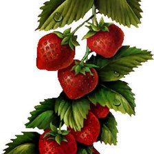 Cross stitch pattern: #423515