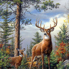 Cross stitch pattern: #423535