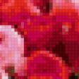 Preview of cross stitch pattern: #424461