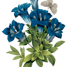 Cross stitch pattern: #424790