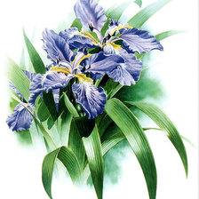 Cross stitch pattern: #424797