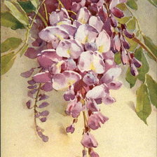 Cross stitch pattern: #424922