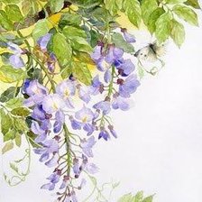 Cross stitch pattern: #424923