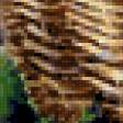 Preview of cross stitch pattern: #424977