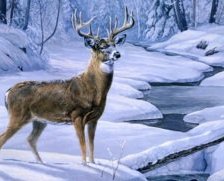 Cross stitch pattern: #425570