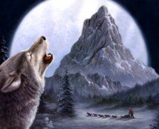 Cross stitch pattern: #425574