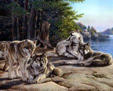 Cross stitch pattern: #425576