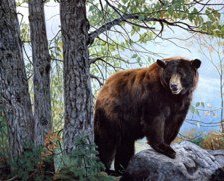 Cross stitch pattern: #425579