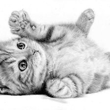 Cross stitch pattern: #425619