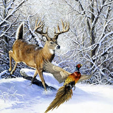 Cross stitch pattern: #426080