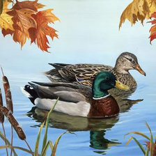 Cross stitch pattern: #426085