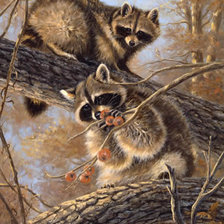 Cross stitch pattern: #426088