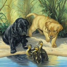 Cross stitch pattern: #426089