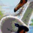 Preview of cross stitch pattern: #426120