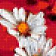 Preview of cross stitch pattern: #426397