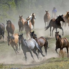 Cross stitch pattern: #426686