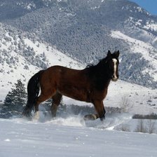 Cross stitch pattern: #426687