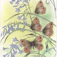 Cross stitch pattern: #427080