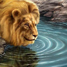 Cross stitch pattern: #427500