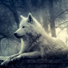 Cross stitch pattern: #428171