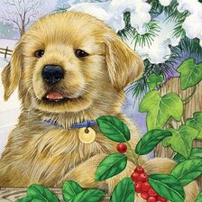 Cross stitch pattern: #428382