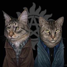 Cross stitch pattern: #428469