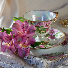 Cross stitch pattern: #428556