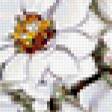 Preview of cross stitch pattern: #428794