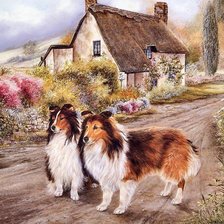Cross stitch pattern: #430721