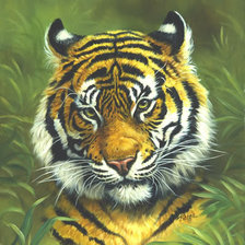 Cross stitch pattern: #430917