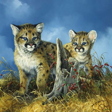 Cross stitch pattern: #430919