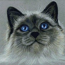 Cross stitch pattern: #431432